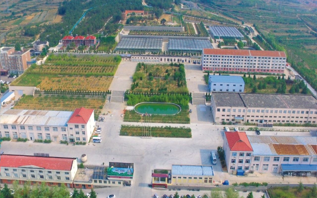 Weihai Ziguang Gushan Industrial Par